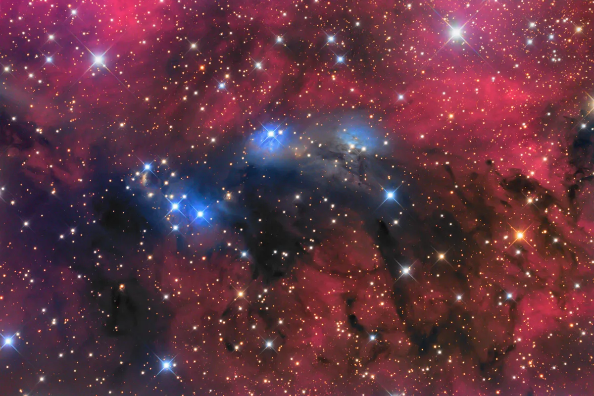 NGC6914 by Bob Franke, Chino Valley, AZ USA. Equipment: 12.5