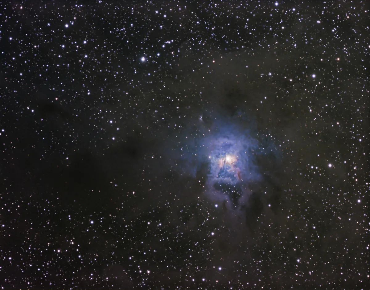 NGC 7023 (Iris Nebula) LRGB by Chris Heapy, Macclesfield, UK. Equipment: TeleVue NP127is, Atik490EX, Losmandy G11, Gemini, TV Pronto, Lodestar