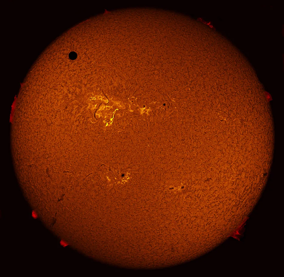 Transit of Venus in h-alpha by Michael Borman, Evansville, Indiana, USA. Equipment: Televue 102iis refractor, Coronado SM90 h-alpha filter and BF30, Imaging Source DMK41AU02.AS camera, Losmandy G11 mount, .5x focal reducer.