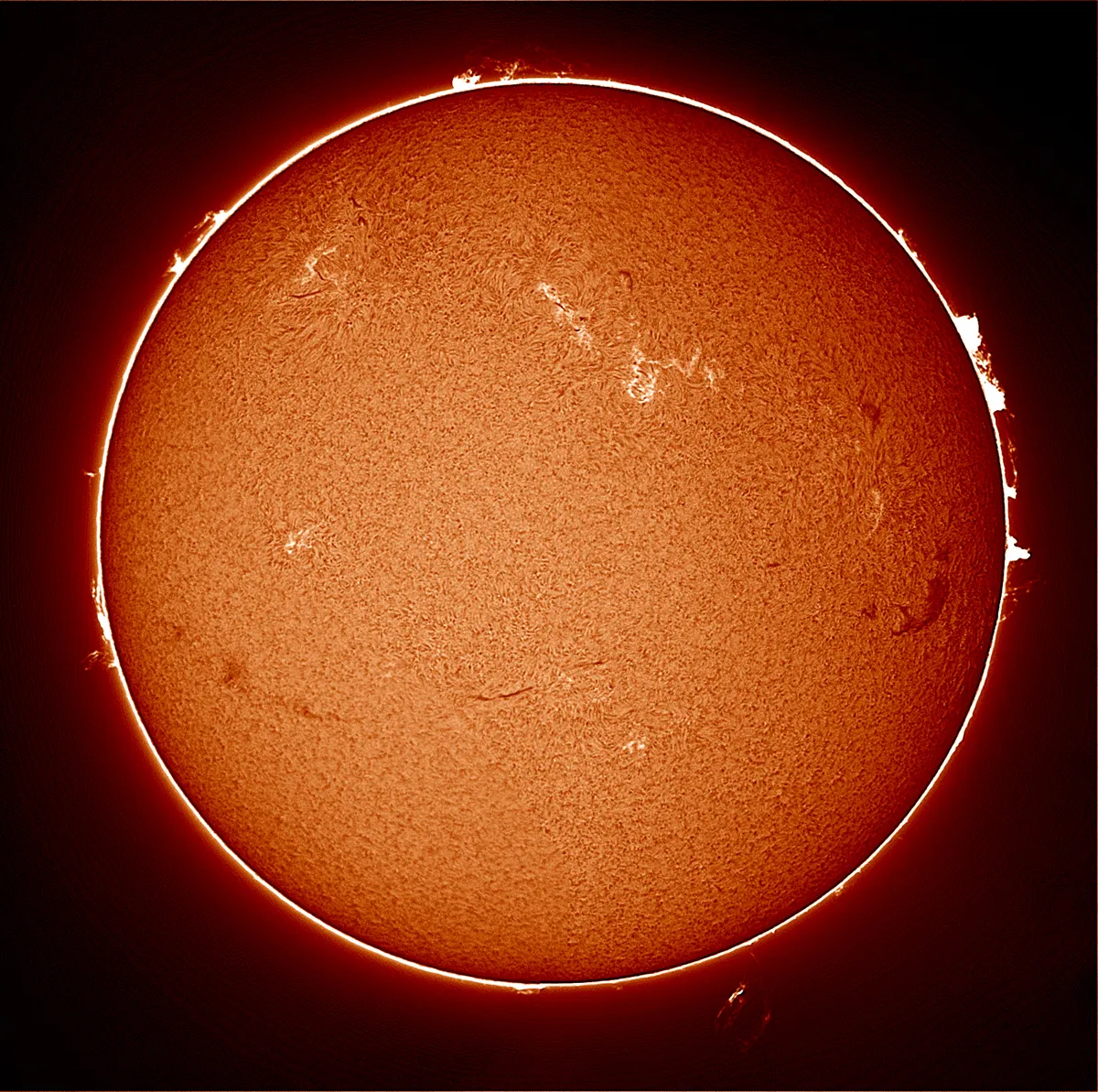 The Sun in Halpha by Luigi Fiorentino, Bari, Italy. Equipment: Lunt Ha 60 Pressure Tuning, BW Webcam Point Grey Chamaleon