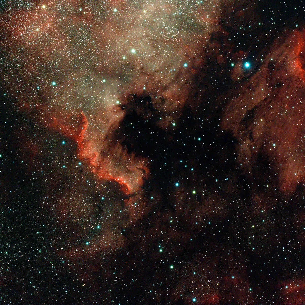 North America and Pelican Nebulae by Kevin Gurney, Port Punay, nr La Rochelle, France. Equipment: William Optics Star 71, Canon 600D (modified), Astrotrac TT320X-AG with pier, wedge and counterweight, IDAS LPS D1 filter
