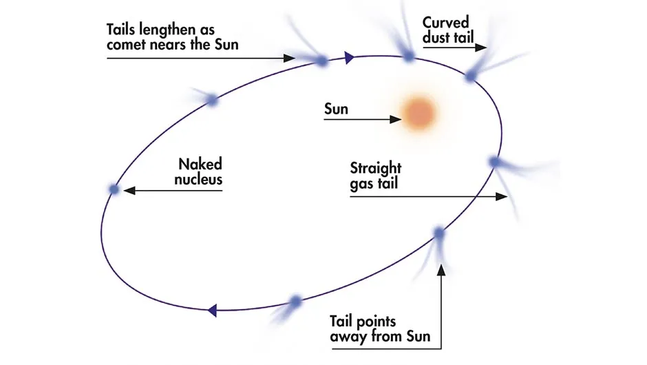 Diagram showing how a comet's tail changes at it approaches the Sun. Credit: BBC Sky at Night Magazine