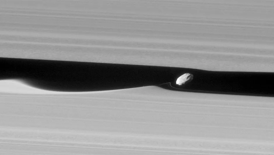 Cassini captured this image of the moon Daphnis orbiting within the 42km Keeler Gap. The waves in the edges of the gap are caused by the moon’s gravitational pull. Credit: NASA/JPL-Caltech/Space Science Institute