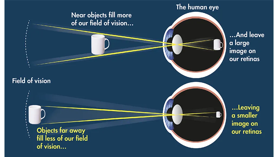 A basic understanding of how the human eye works helps explain the function of eyepieces So, what you need is a selection of eyepieces to match each of your different observing objectives.