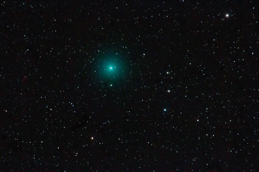 Comet Wirtanen, captured by Peter Louer, Tenerife, 8 December 2018. Equipment: Canon EOS 600D DSLR camera, Canon 100-400mm lens, Sky-Watcher NEQ5 Pro SynScan mount.