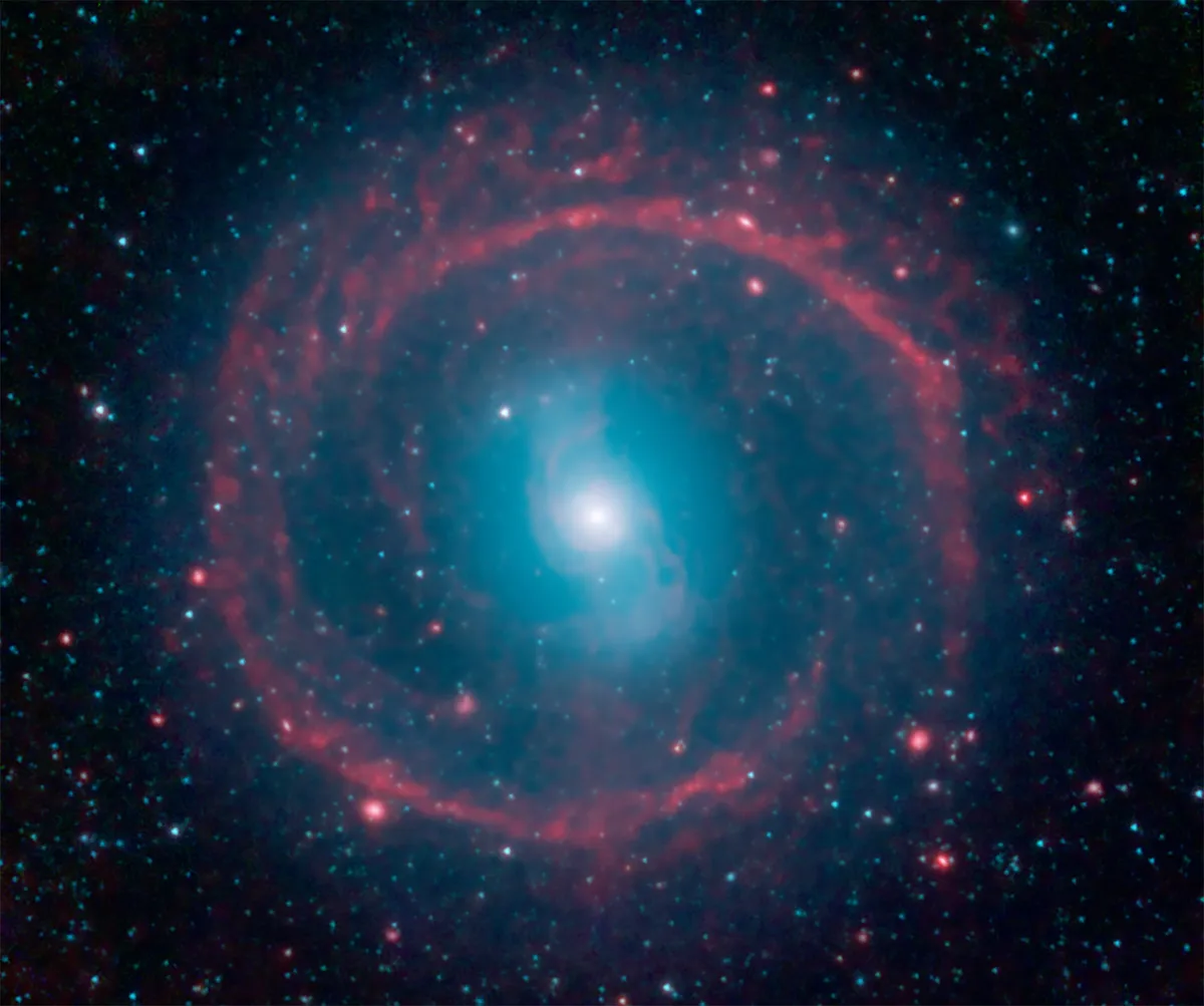 A ring of newly-ignited stars heats up surrounding dust that glows in infrared light around galaxy NGC 1291, in this Spitzer image. Credit NASA/JPL-Caltech