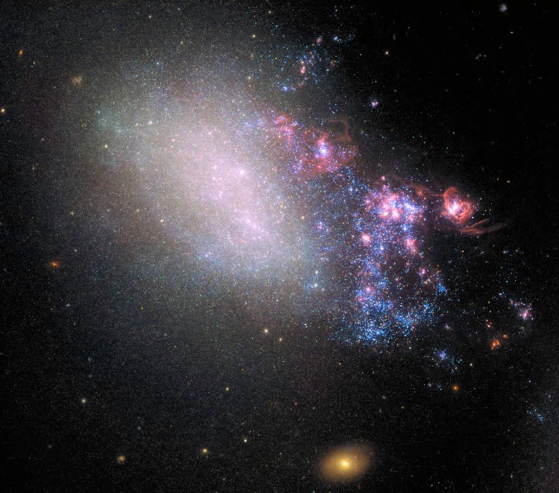 NGC 4485 Hubble Space Telescope, 16 May 2019 Image credit: NASA and ESA; Acknowledgment: T. Roberts (Durham University, UK), D. Calzetti (University of Massachusetts) and the LEGUS Team, R. Tully (University of Hawaii), and R. Chandar (University of Toledo)