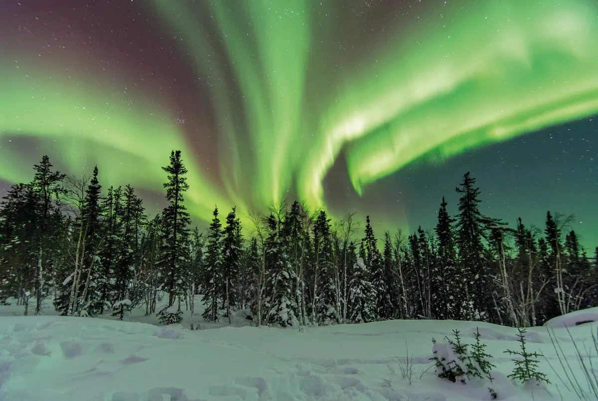 The emerald aurora, seen over Yellowknife in Canada here, is the result of complex interactions between Earth’s magnetic field and the solar wind. Credit: Getty Images