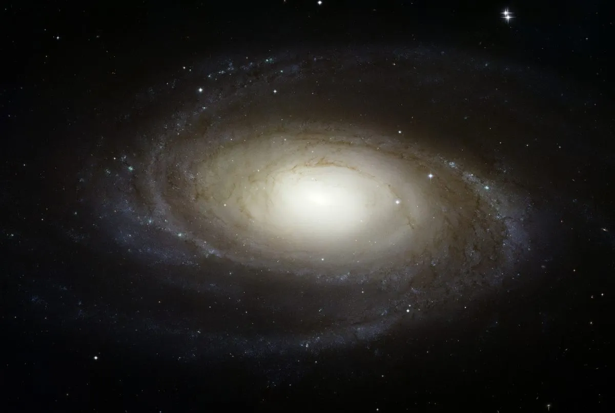 Bode's Galaxy, as seen by the Hubble Space Telescope. Credit: NASA, ESA and the Hubble Heritage Team (STScI/AURA). Acknowledgment: A. Zezas and J. Huchra (Harvard-Smithsonian Center for Astrophysics)