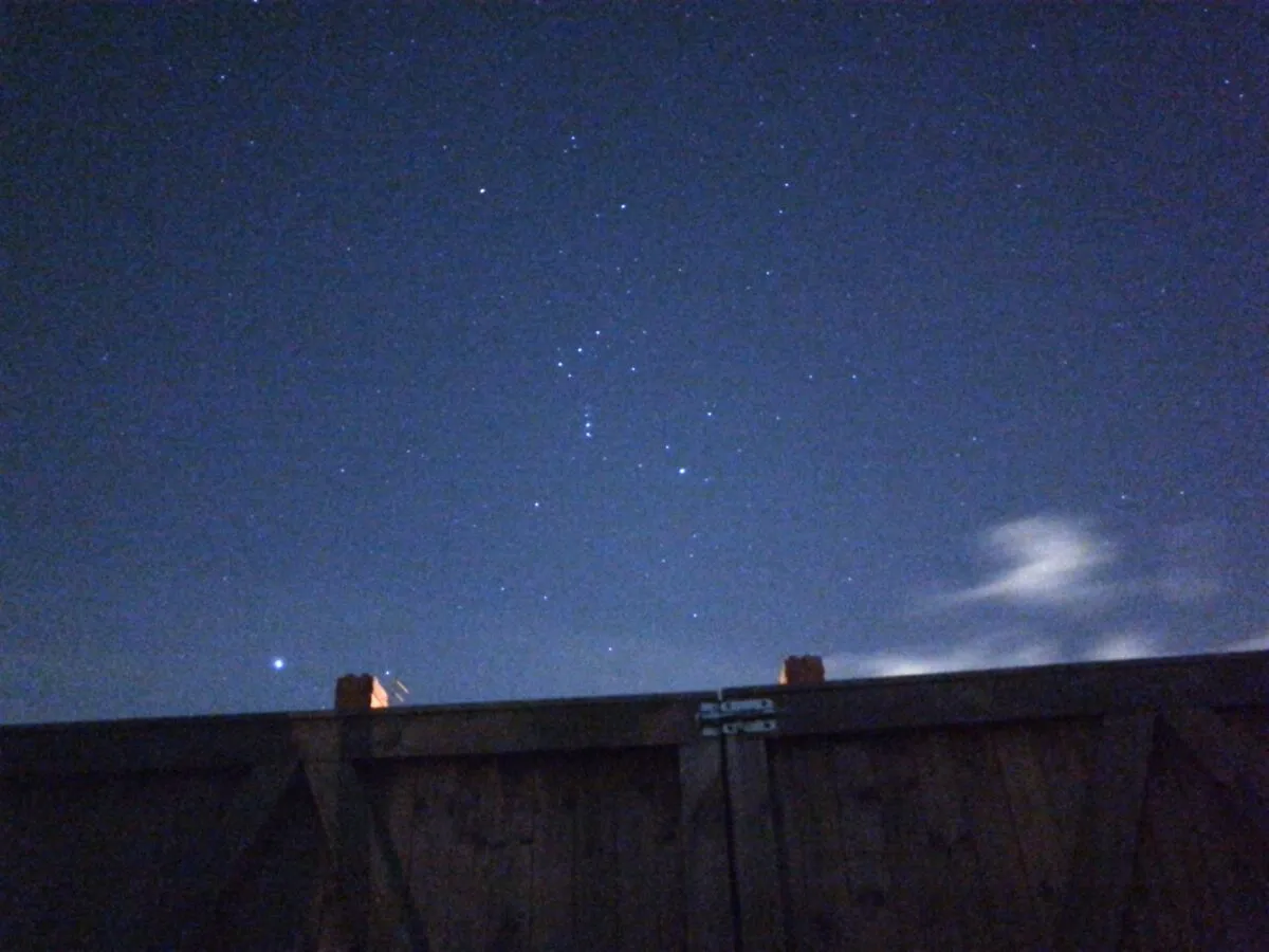 The constellation Orion is a December night sky stalwart. Credit: Iain Todd