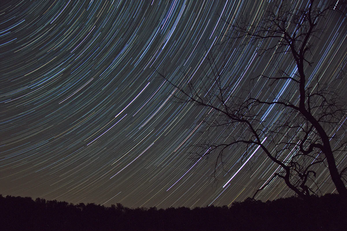 Star trails over Zselic Starry Sky Park in Hungary, captured by Zoltán Kolláth. Credit: Zoltán Kolláth