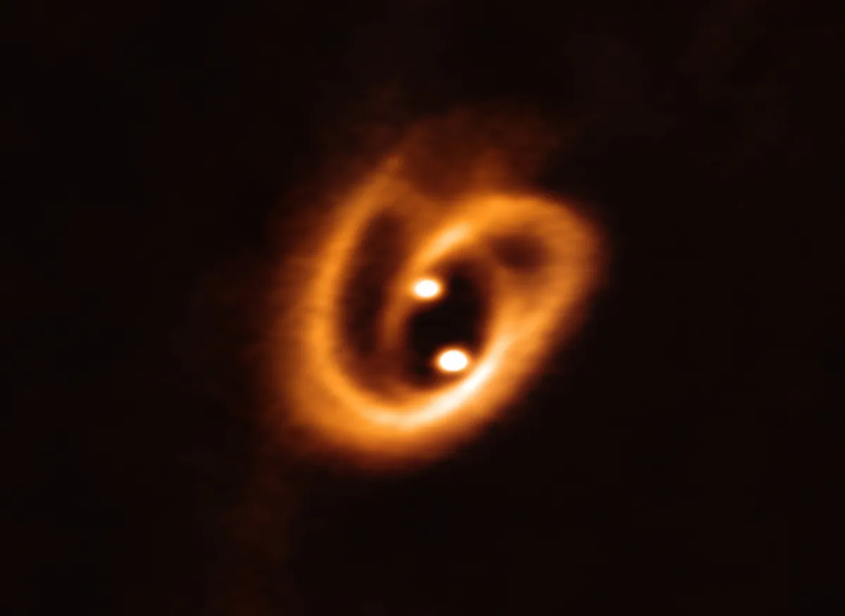 Astronomers spot two newborn stars in a cosmic feeding system. Credit: ALMA (ESO/NAOJ/NRAO), Alves et al.