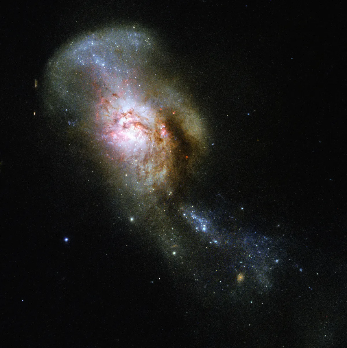 The Medusa merger. Credit: ESA/Hubble & NASA, A. Adamo