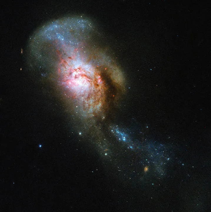 The Medusa Merger Hubble Space Telescope, 30 September 2019 Credit: ESA/Hubble & NASA, A. Adamo