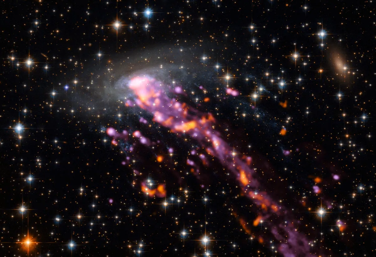 Cosmic drag creates a jellyfish galaxy. Credit: ALMA (ESO/NAOJ/NRAO), P. Jachym (Czech Academy of Sciences) et al.