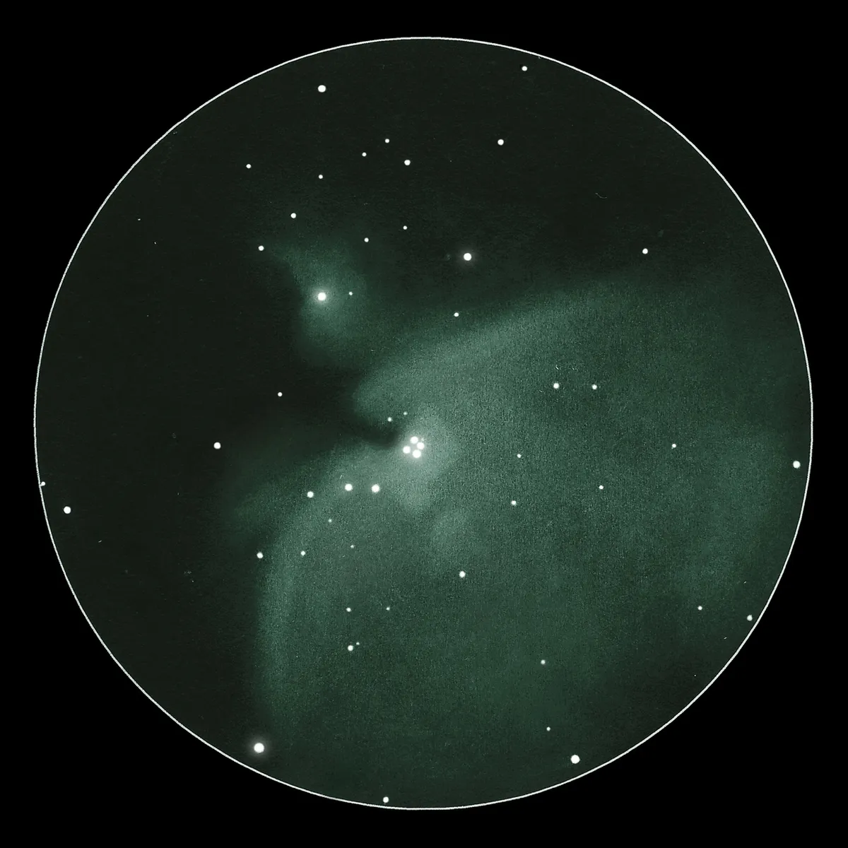  View of the Orion Nebula through an 8-inch telescope, 80x magnification. Credit: Michael Vlasov