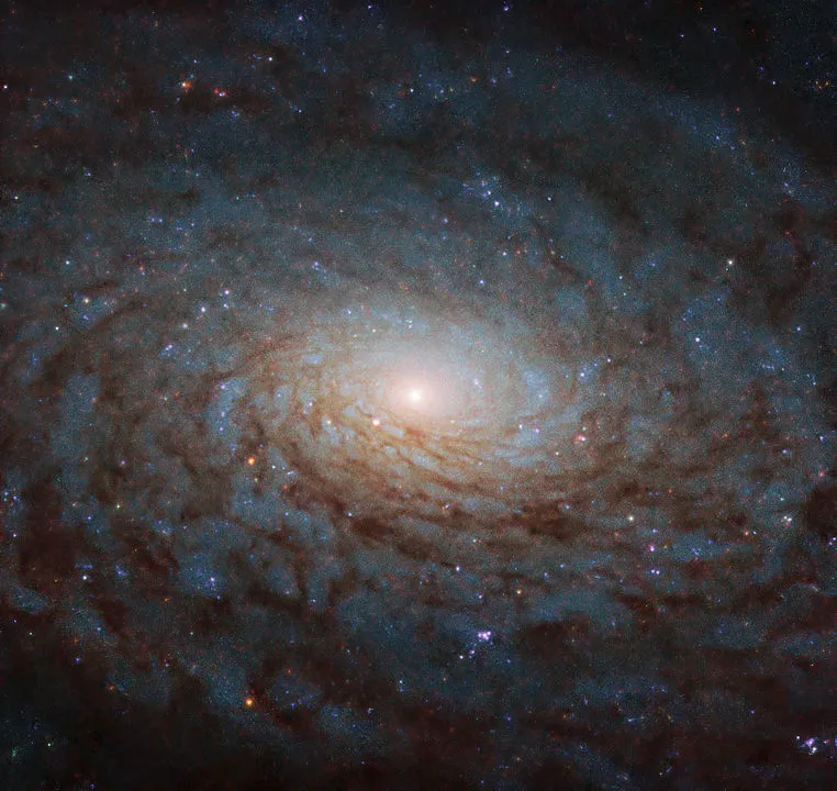 Spiral galaxy NGC 4380 Hubble Space Telescope, 14 October 2019 Credit: ESA/Hubble & NASA, P. Erwin