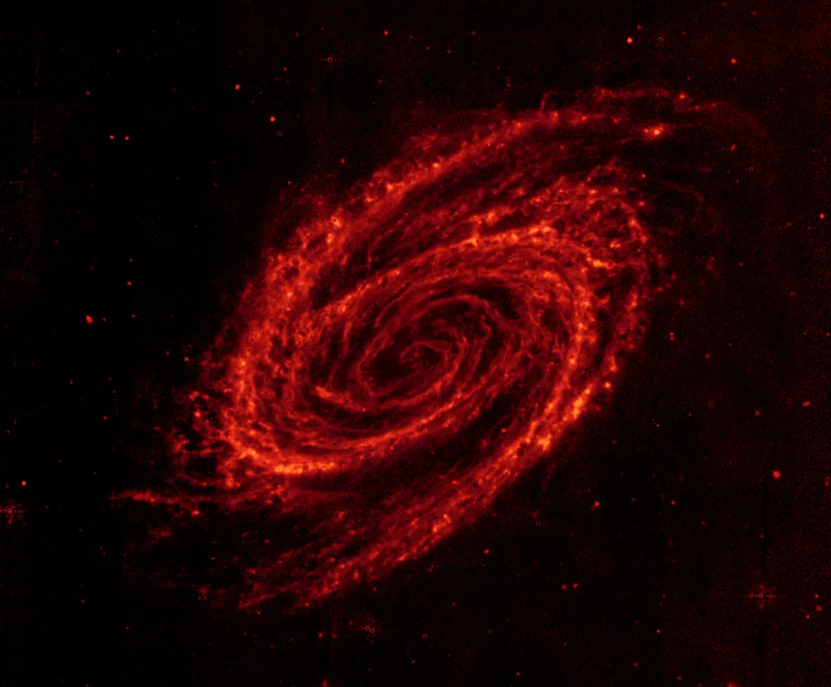 Galaxy M81 Wisps of dust follow the spiral arms of galaxy M81 in this spectacular infrared view. Credit: NASA/JPL-Caltech