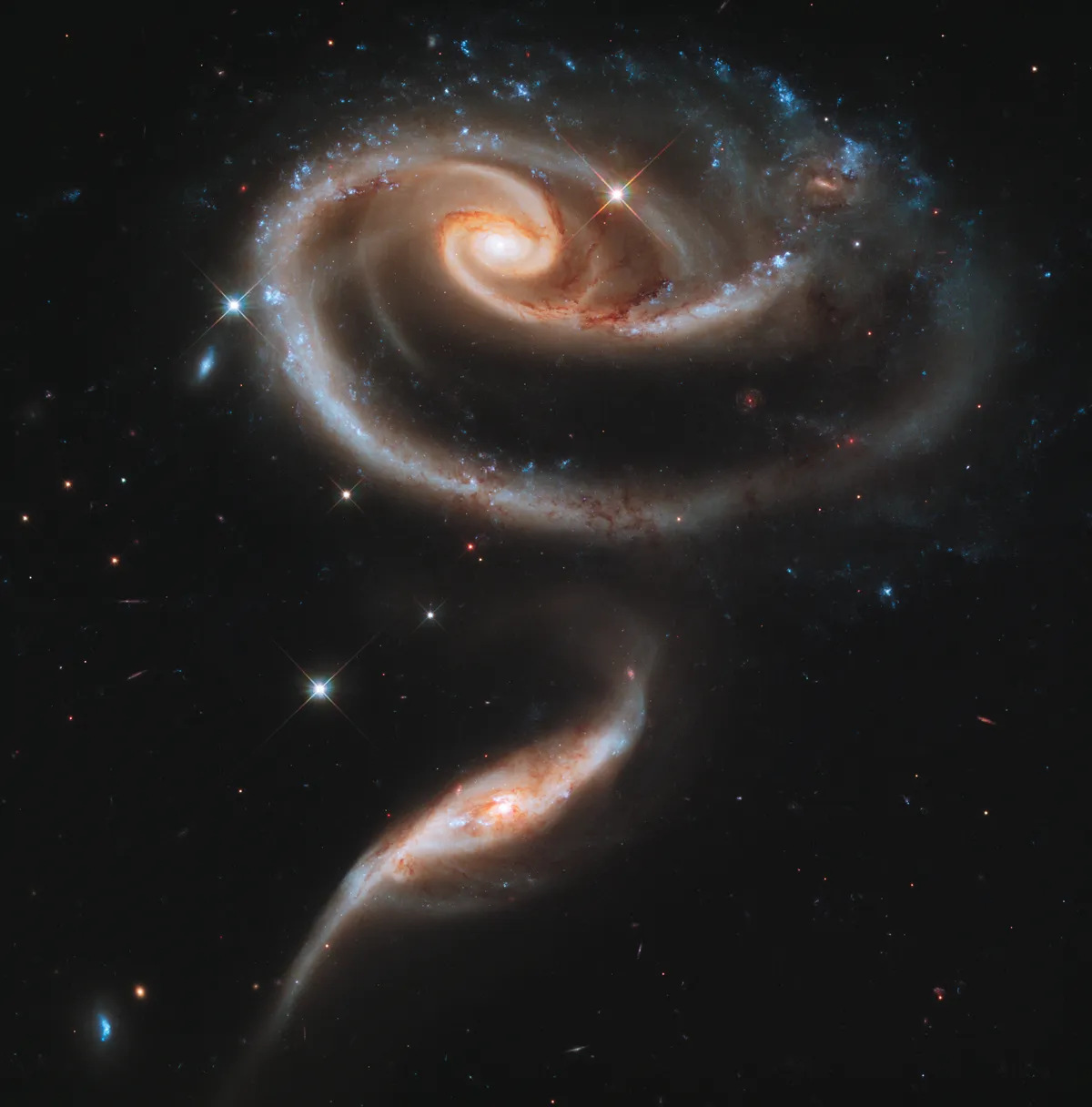 Arp 273 20 April 2011. A pair of interacting galaxies called Arp 273 form the shape of a rose. It's thought the smaller galaxy has passed through the larger one. Credit: NASA, ESA and the Hubble Heritage Team (STScI/AURA)