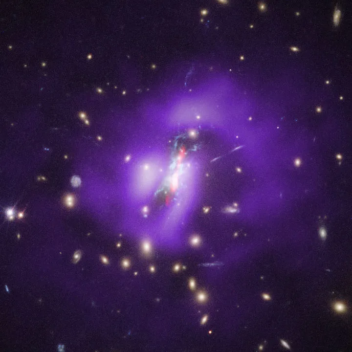 Phoenix black hole CHANDRA X-RAY OBSERVATORY, HUBBLE SPACE TELESCOPE, VERY LARGE ARRAY, 18 NOVEMBER 2019. Credit: NASA/CXC/MIT/M.McDonald et al; NRAO/VLA; STScI