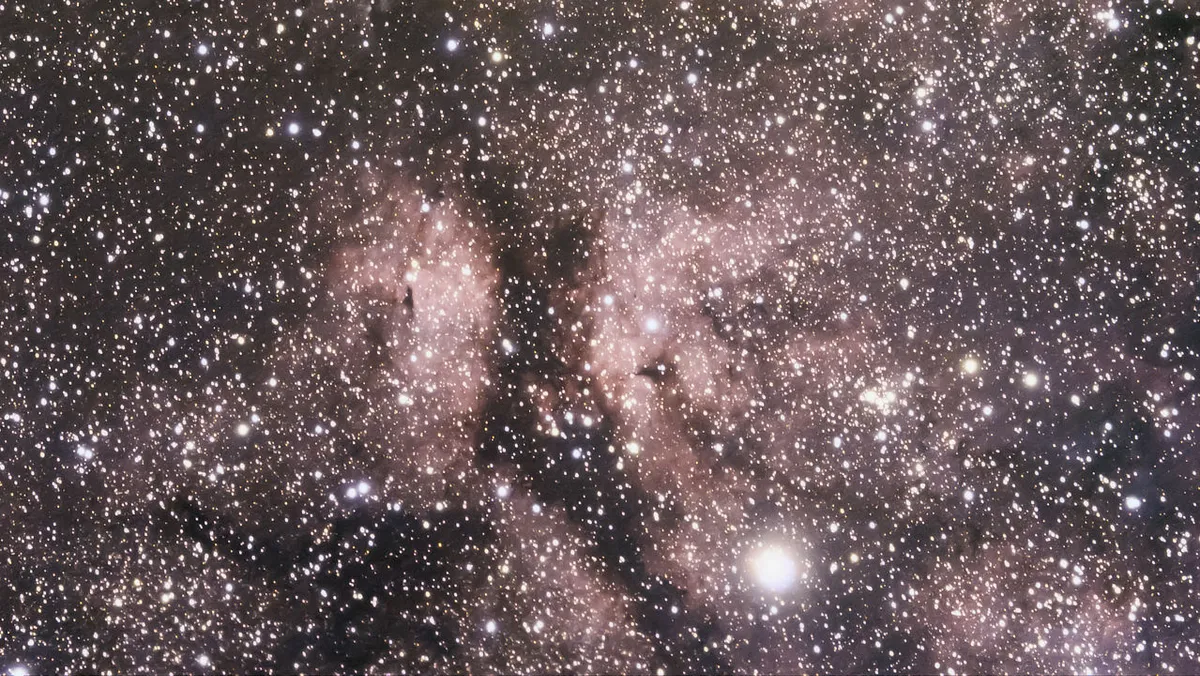 Sadr Region with Butterfly Nebula IC 1318 Paul Moyers, Ty-Newydd Farm Campsite, Gwynedd, Wales, 29 October 2019. Equipment: Canon EOS 1200D DSLR, Altair 60EDF refractor, Sky-Watcher Star Adventurer