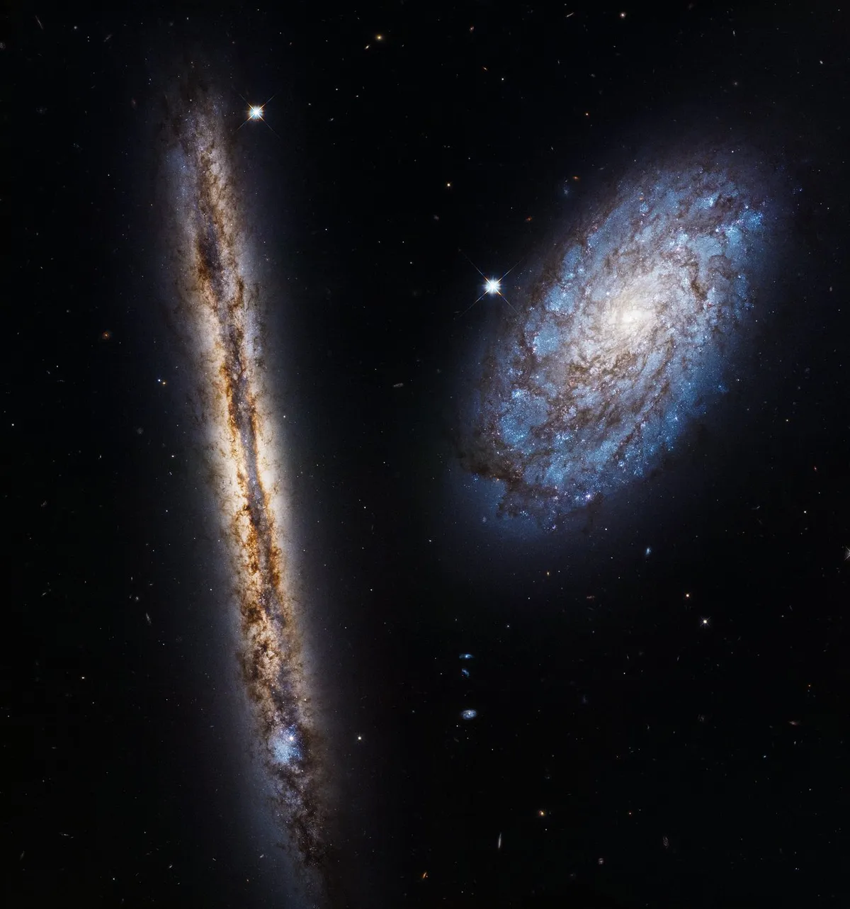 The difference perspective can make! Galaxy NGC 4302 appears edge-on while galaxy NGC 4298 appears face-on, from our perspective on Earth. Both galaxies are 55 million lightyears away. Credit: ESA/NASA Hubble