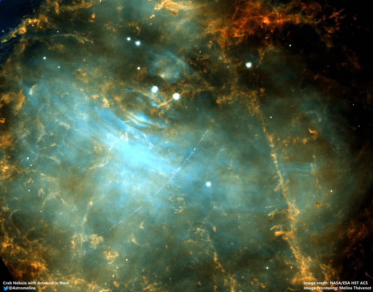 Asteroid in the Crab Nebula (M1) 24 September 2019 Citizen scientist Melina Thévenot from Germany discovered an asteroid trail in the foreground of a 2005 Hubble image of the Crab Nebula. Credit: ESA/Hubble, M. Thévenot (@AstroMelina)