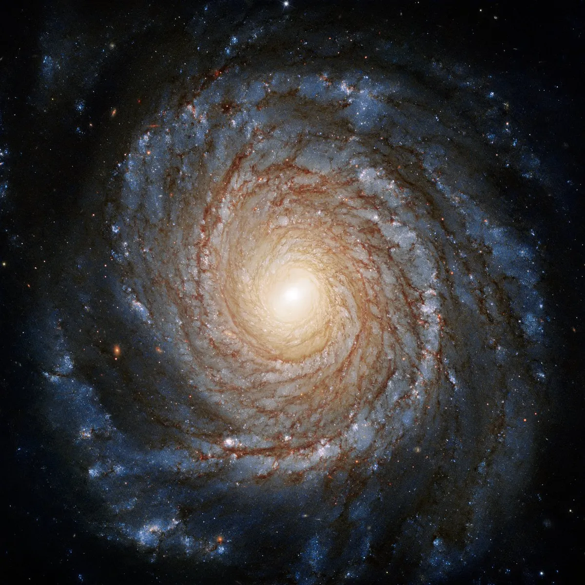 Galaxy NGC 3147 is roughly 130 million lightyears away, meaning we are observing the galaxy as it appeared 130 million years ago, because its light takes time to reach us. Credit: ESA/Hubble & NASA, A. Riess et al.