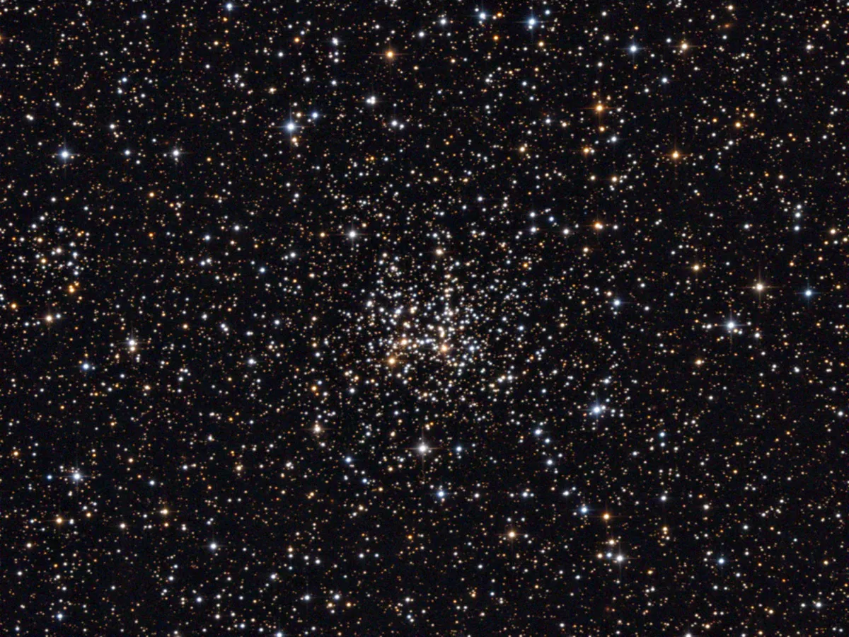 NGC 2194