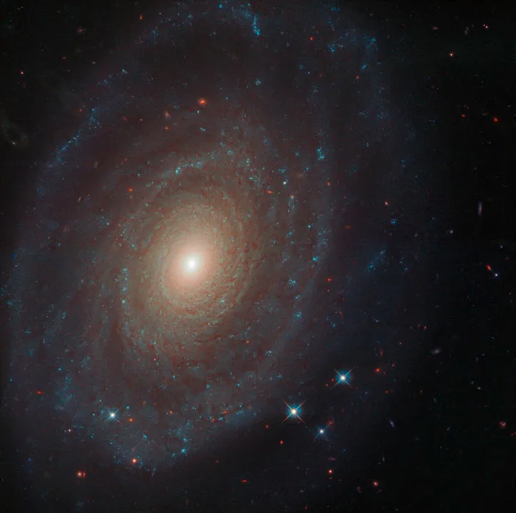 Spiral galaxy NGC 691 Hubble Space Telescope, 24 February 2020 Credit: ESA/Hubble & NASA, A. Riess et al.