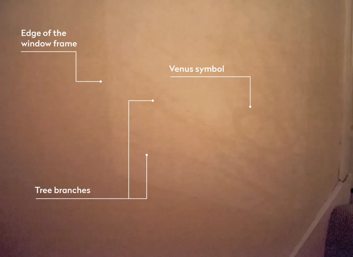 As Venus is essentially a point source, the resulting shadows all appear sharp when cast on the wall. (Camera settings: ISO 12,800, 20” exposure at f/5.6). Credit: Pete Lawrence