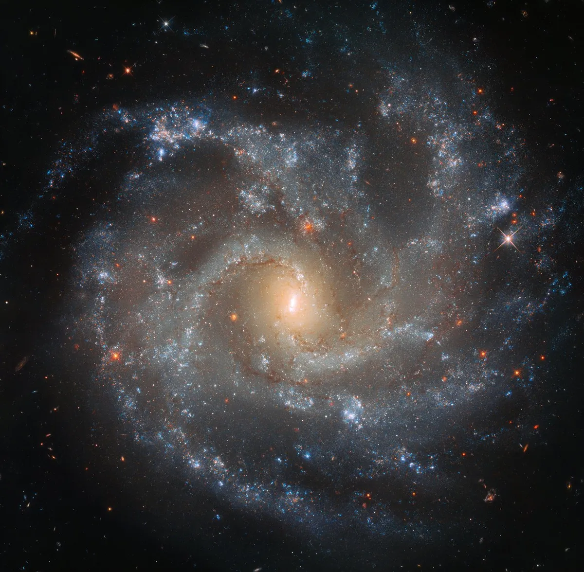 Spiral galaxy NGC 5468. Credit ESA/Hubble & NASA, A. Riess et al. / Acknowledgements: Judy Schmidt (Geckzilla)