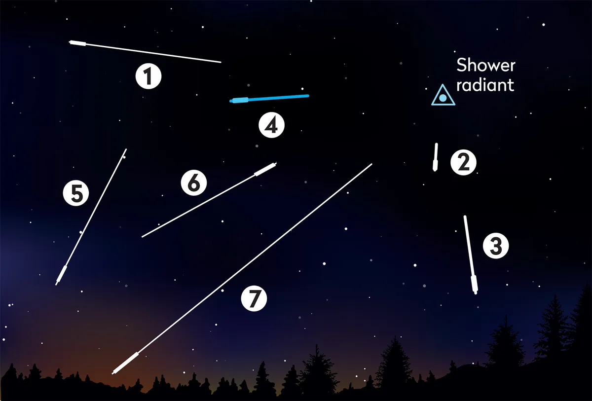Identifying meteor showers: a spotter's guide.