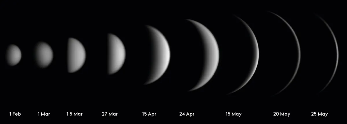Evening glow: as Venus tracks across the sky from February to May, its apparent diameter grows and its phase shrinks. Credit: Pete Lawrence
