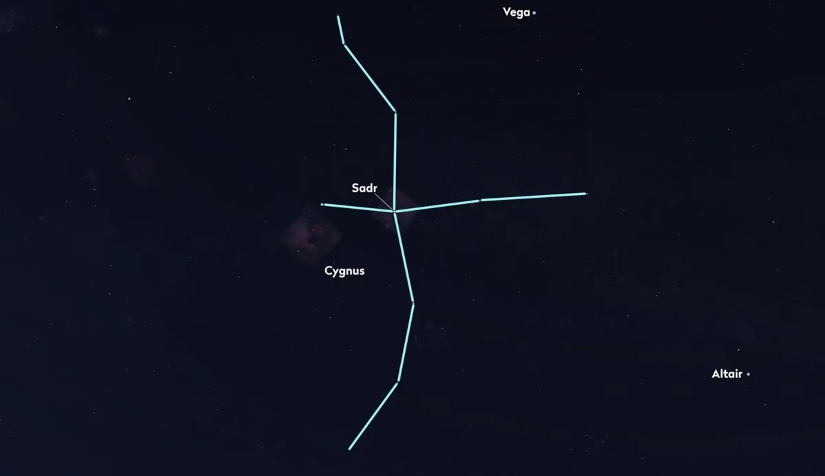 Look high up in the night sky from midnight onwards throughout the mid-summer months and you should be able to spot Sadr and Cygnus. Credit: Stellarium