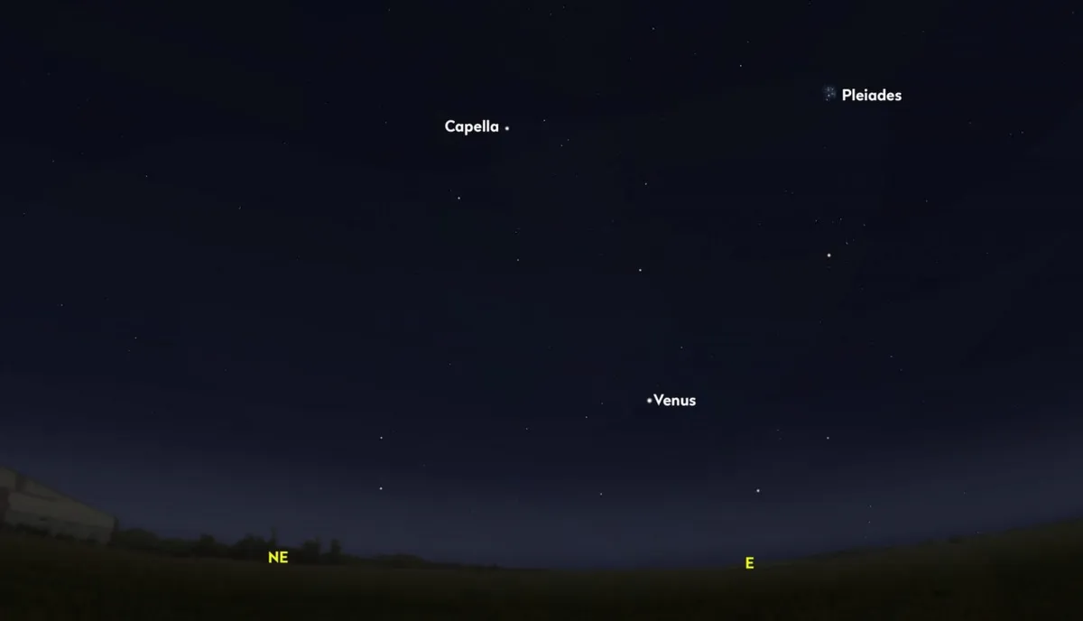 Capella, as it will appear from the UK at around 04:30 on 8 August 2020 from the UK. Note the added bonus of Venus close-by. Credit: Stellarium