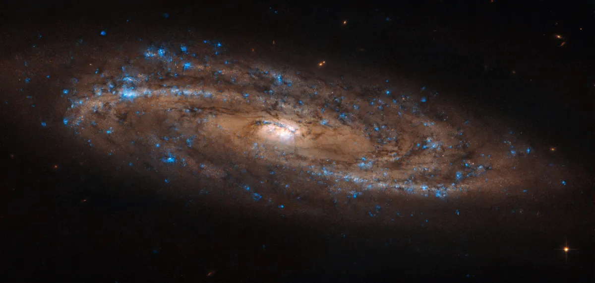 Hubble Space Telescope image of galaxy NGC 4100. Credit ESA/Hubble & NASA, L. Ho