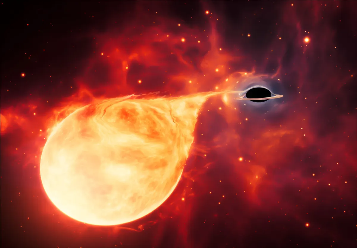 An artist’s impression showing a star being torn apart by an intermediate-mass black hole. Credit: ESA/Hubble, M. Kornmesser