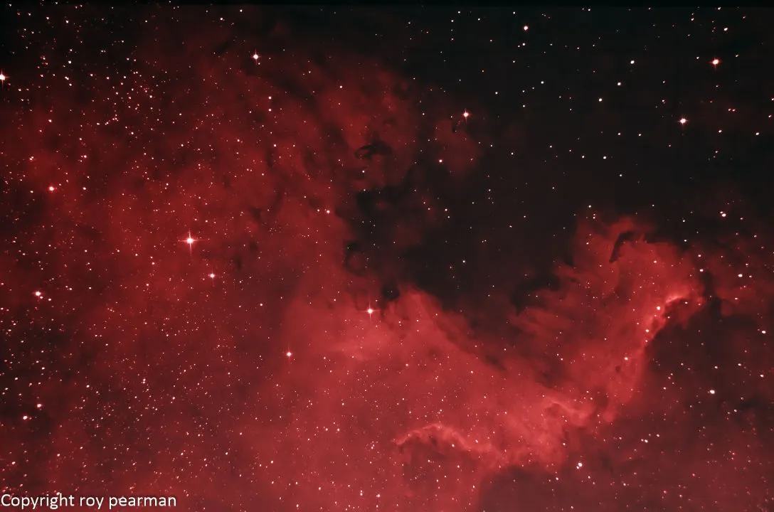 North America Nebula RoyPearman, London, 25 April 2020. Equipment: Canon 600D DSLR, Sky-Watcher 130PDS reflector, Sky-Watcher EQ5 mount