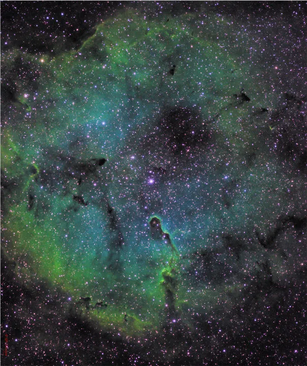 Elephant’s Trunk Nebula Steve Fox, Camberley, Surrey, 22 April 2020. Equipment: ZWO ASI 1600MM mono camera, William Optics RedCat 51 250mm apo refractor, Celestron CGX mount