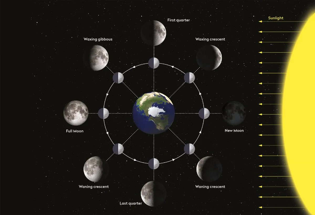 The phases of the Moon. Þ The inner circle shows what the Moon looks like seen from above its north pole, while the outer circle shows the phase we see from Earth at that time. Credit: BBC Sky at Night Magazine