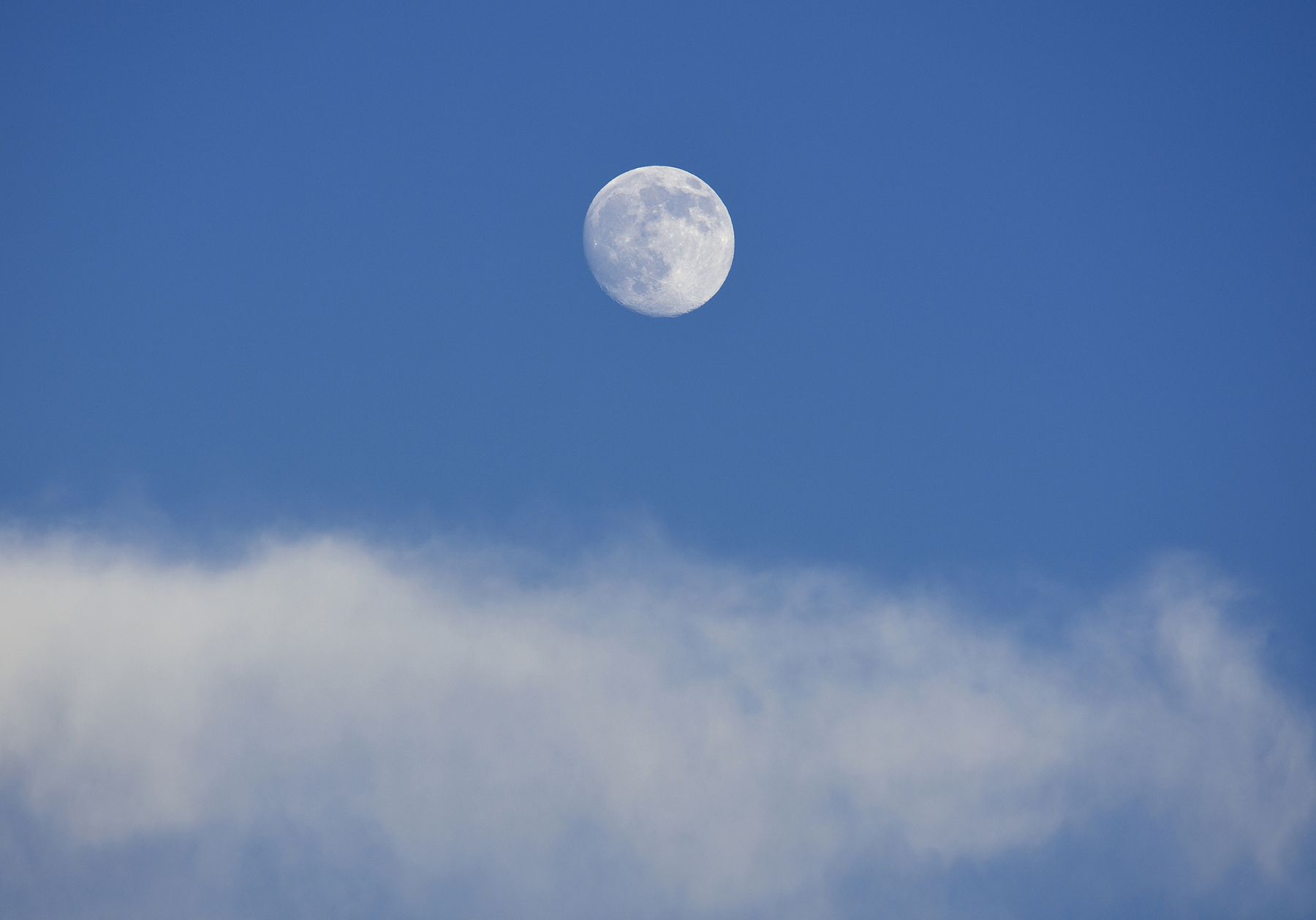 Why do we sometimes see the Moon during the day?