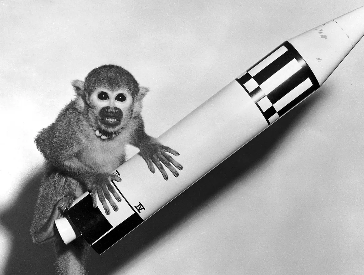 Monkey Miss Baker with a model of the Jupiter vehicle that launched her into space, 29 May 1959. Credit: NASA/Marshall Space Flight Center