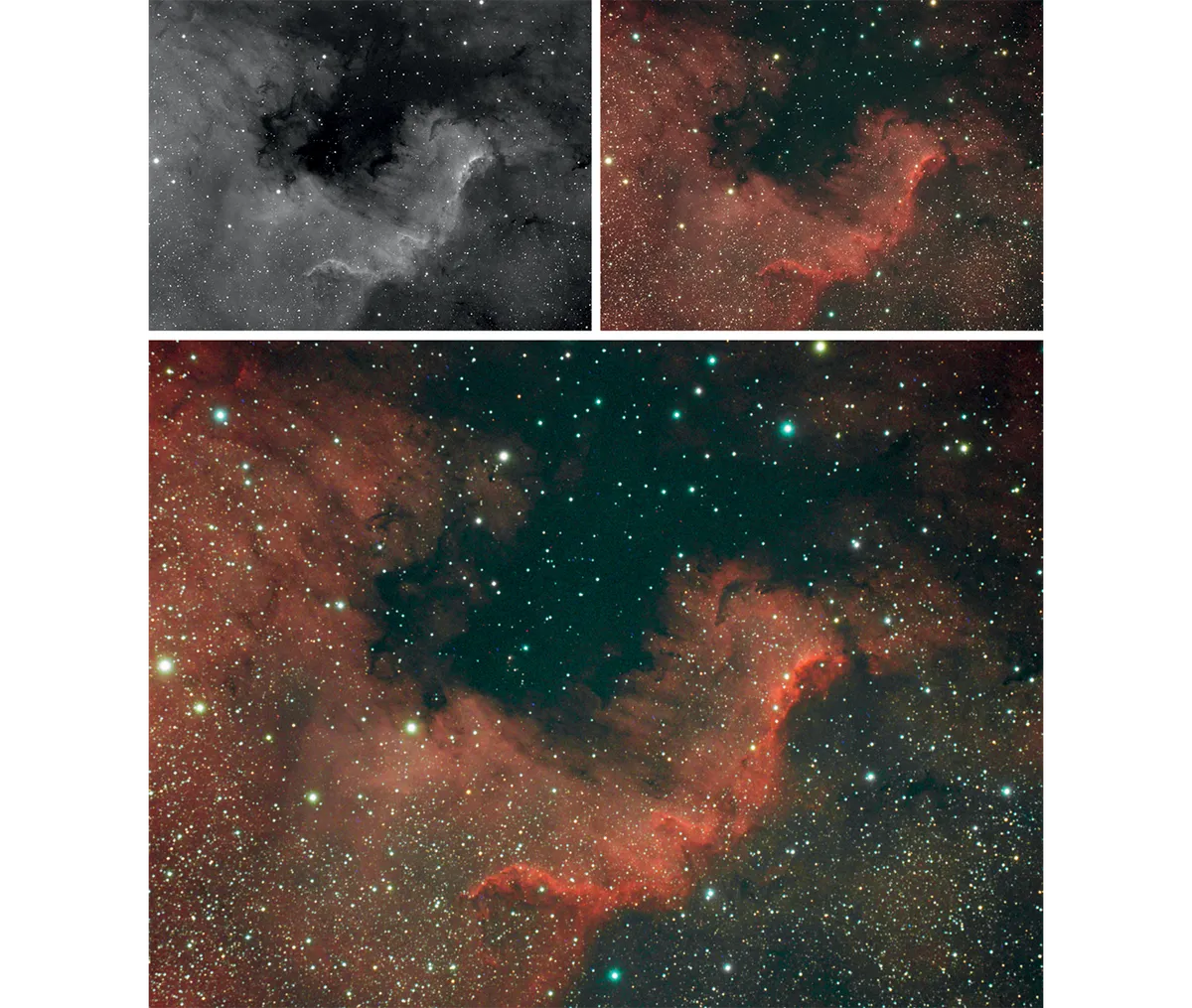 Combining luminance and RGB data – top left and top right – allowed us to create this much more detailed composite image of the North America Nebula, NGC 7000, in the constellation of Cygnus. Credit: Steve Richards
