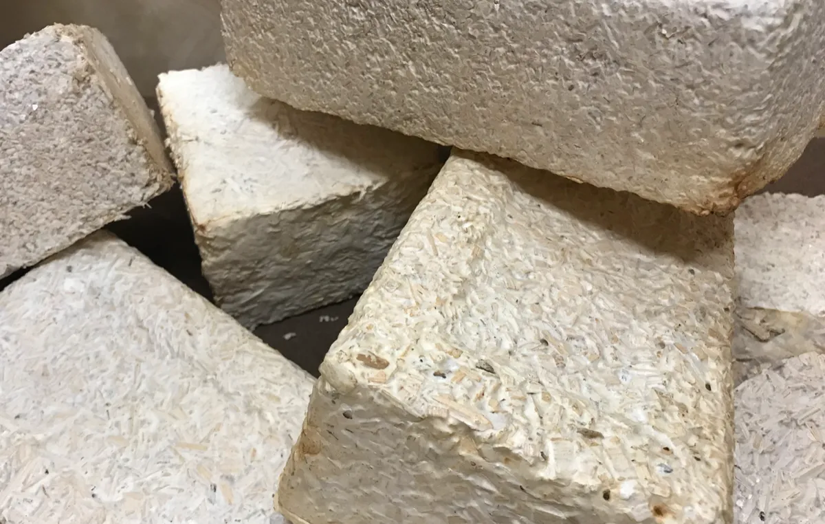 Bricks can be made using mycelium, wood chips and other waste. Could similar materials be used to construct bases on the Moon or Mars? Credit: 2018 Stanford-Brown-RISD iGEM Team