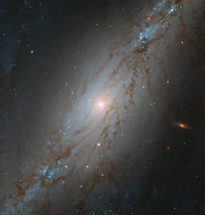 Barred spiral galaxy NGC 7513Hubble Space Telescope, 10 July 2020. Credit: ESA/Hubble & NASA, M. Stiavelli;CC BY 4.0