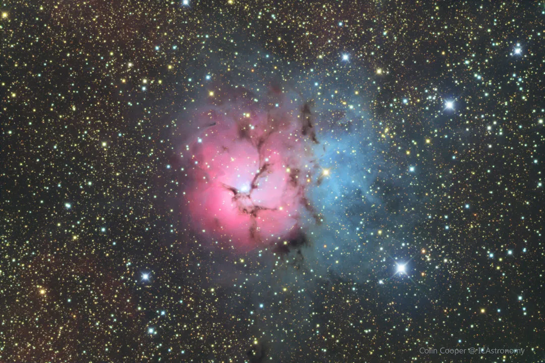 The Trifid Nebula Colin Cooper, remotely via ICAstronomy, Spain, May–June 2020. Equipment: Moravian G3-11000 camera, Officina Stellare RiDK 305, Paramount MEII mount