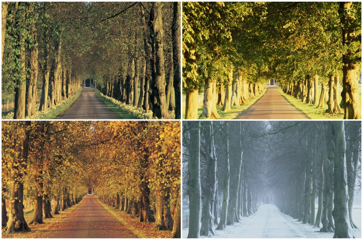 The changing of the seasons. Credit: Peter Adams / Getty Images