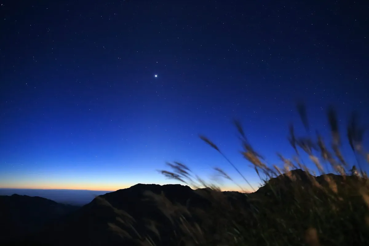 Sirius is the brightest star in the night sky. Photographic by Tommy Hsu / Getty Images