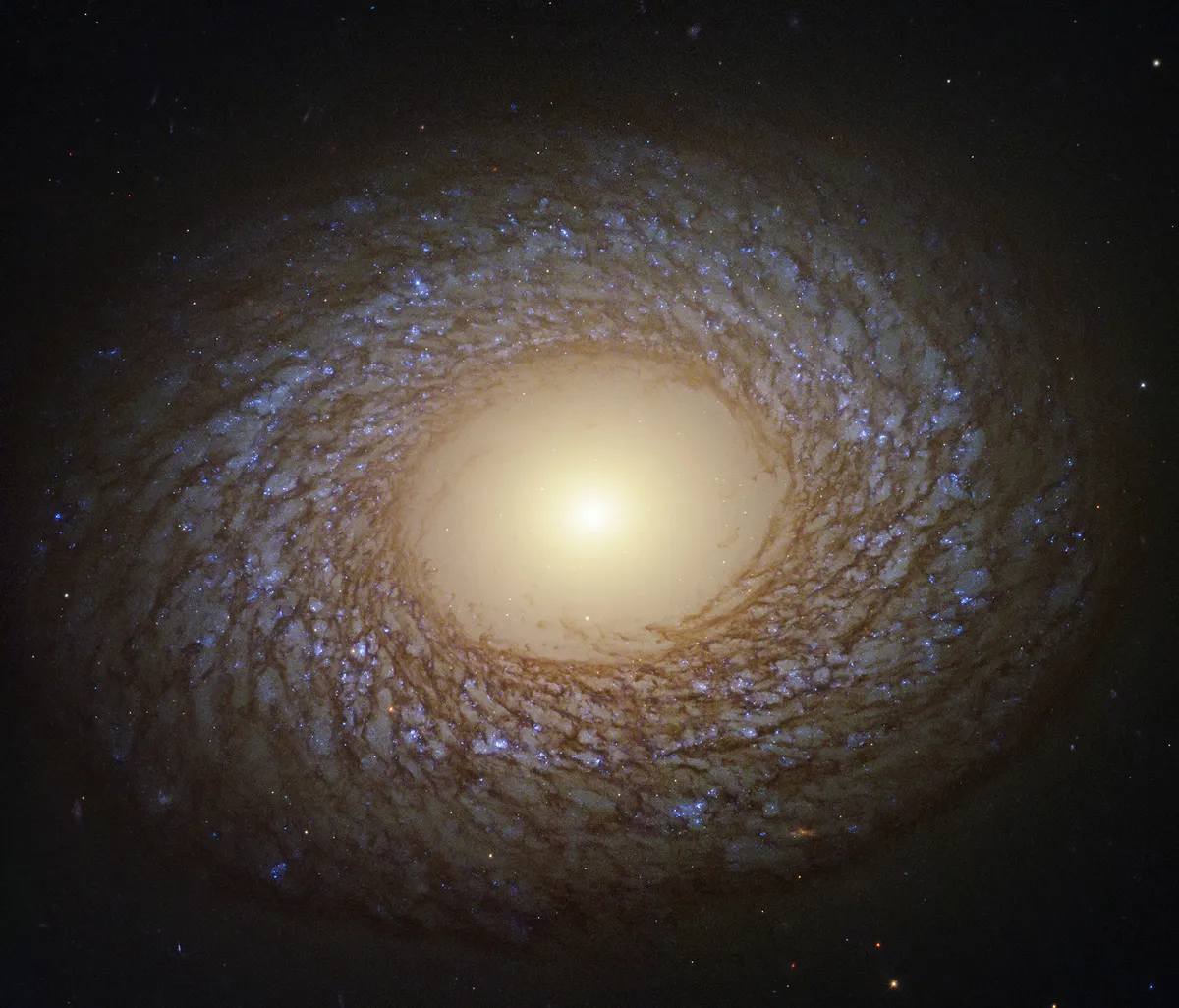 Galaxy NGC 2775, by the Hubble Space Telescope. Credit: ESA/Hubble & NASA/J. Lee and the PHANGS-HST Team; Acknowledgment: Judy Schmidt (Geckzilla)